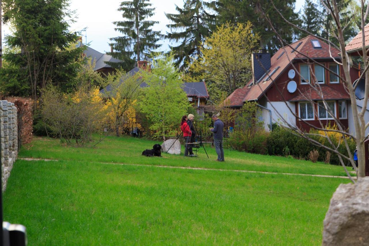 Villa Lupus - Apartament Z Prywatna Sauna Szklarska Poręba Kültér fotó