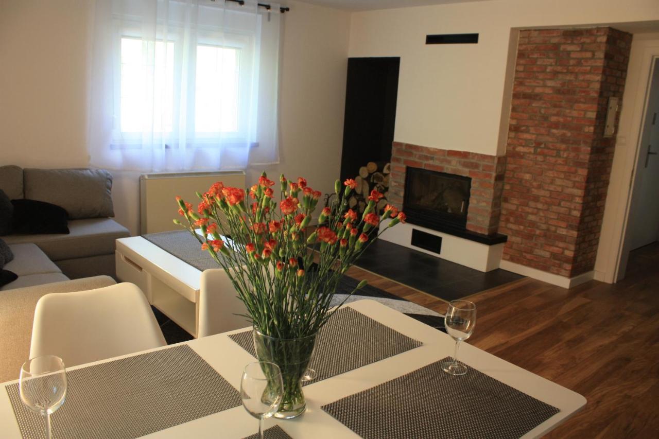Villa Lupus - Apartament Z Prywatna Sauna Szklarska Poręba Kültér fotó